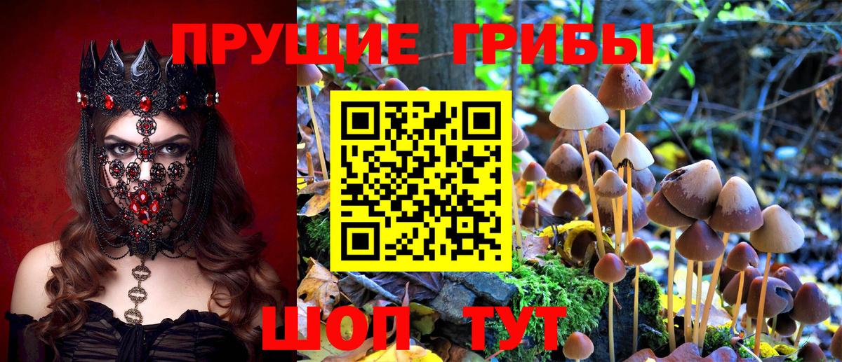 Галлюциногенные грибы прущие грибы Димитровград
