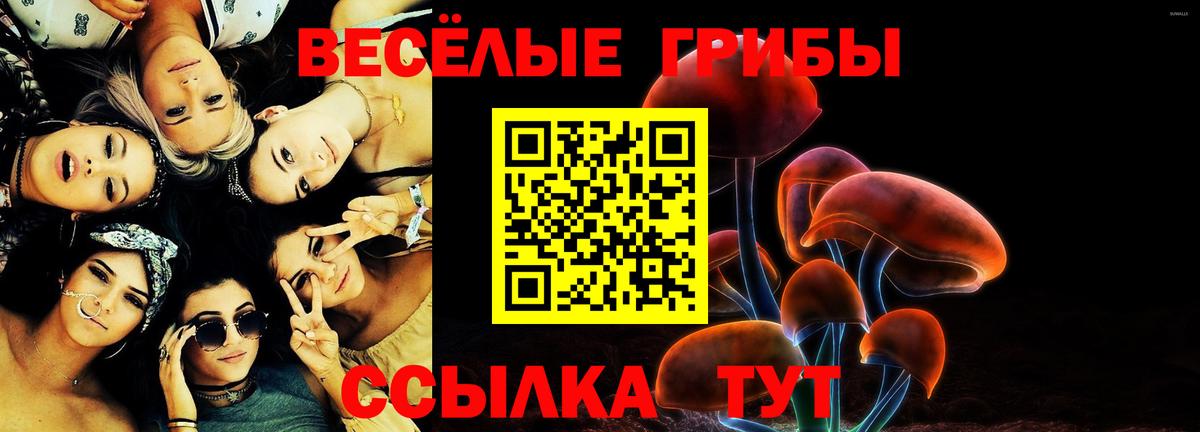 Галлюциногенные грибы Magic Shrooms  Галлюциногенные грибы мицелий  Вход с VPN  Димитровград 